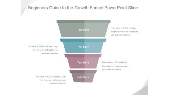 Beginners Guide To The Growth Funnel Ppt PowerPoint Presentation Picture