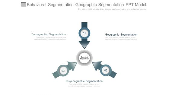 Behavioral Segmentation Geographic Segmentation Ppt Model