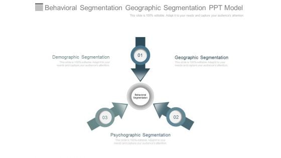 Behavioral Segmentation Geographic Segmentation Ppt Model