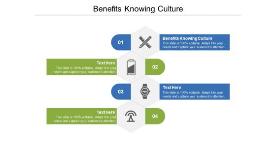 Benefits Knowing Culture Ppt PowerPoint Presentation Portfolio Visuals Cpb