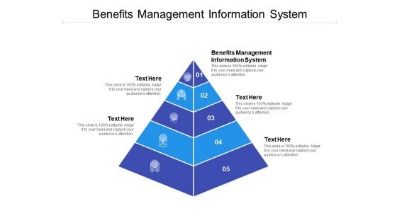 Benefits Management Information System Ppt PowerPoint Presentation Styles Cpb