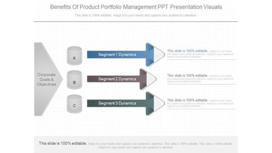 Benefits Of Product Portfolio Management Ppt Presentation Visuals