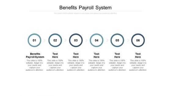 Benefits Payroll System Ppt PowerPoint Presentation Icon Themes