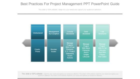 Best Practices For Project Management Ppt Powerpoint Guide