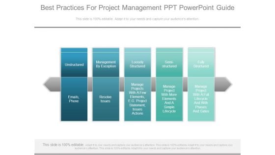 Best Practices For Project Management Ppt Powerpoint Guide