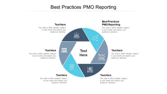 Best Practices PMO Reporting Ppt PowerPoint Presentation Infographic Template Show Cpb Pdf