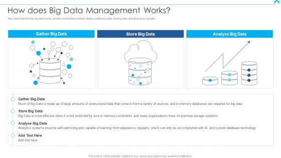 Big Data Architect How Does Big Data Management Works Guidelines PDF