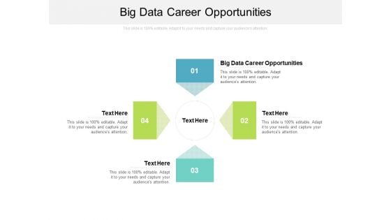 Big Data Career Opportunities Ppt PowerPoint Presentation Portfolio Format Ideas Cpb