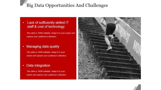 Big Data Opportunities And Challenges Template Ppt PowerPoint Presentation Design Ideas