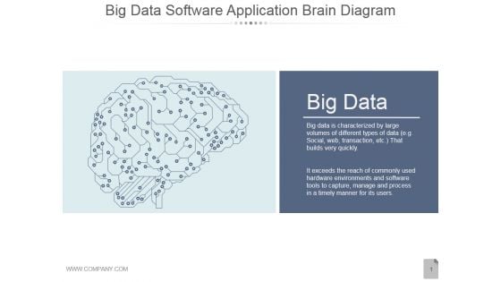 Big Data Software Application Brain Diagram Ppt PowerPoint Presentation Slides