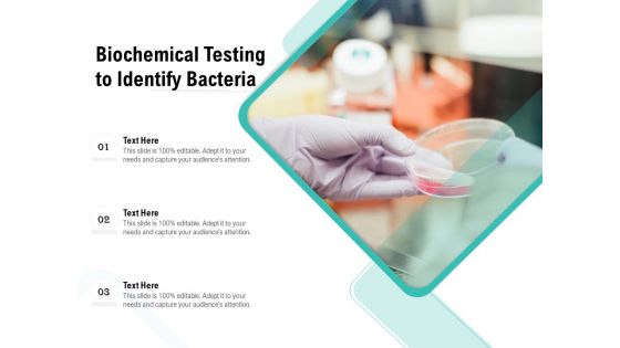 Biochemical Testing To Identify Bacteria Ppt PowerPoint Presentation Gallery Information PDF Biochemical Testing To Identify Bacteria Ppt PowerPoint Presentation Gallery Information PDF