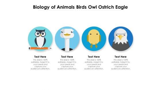 Biology Of Animals Birds Owl Ostrich Eagle Ppt PowerPoint Presentation Gallery Outline PDF