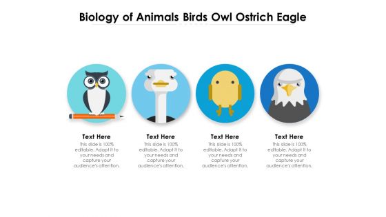 Biology Of Animals Birds Owl Ostrich Eagle Ppt PowerPoint Presentation Gallery Outline PDF