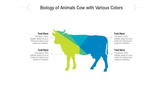 Biology Of Animals Cow With Various Colors Ppt PowerPoint Presentation Gallery Visual Aids PDF