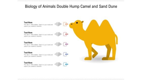 Biology Of Animals Double Hump Camel And Sand Dune Ppt PowerPoint Presentation File Display PDF