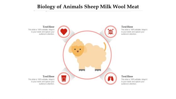 Biology Of Animals Sheep Milk Wool Meat Ppt PowerPoint Presentation Gallery Format PDF