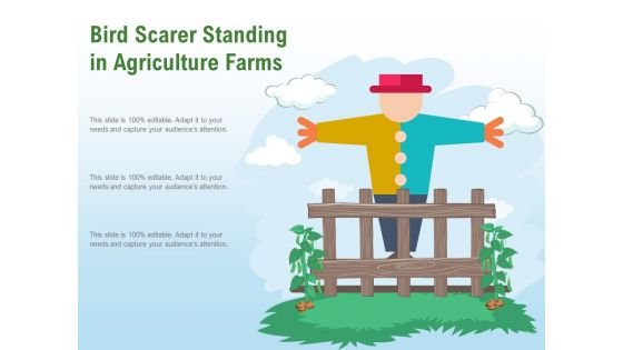 Bird Scarer Standing In Agriculture Farms Ppt PowerPoint Presentation Show Backgrounds PDF