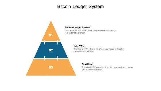 Bitcoin Ledger System Ppt PowerPoint Presentation Professional Background Images Cpb
