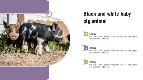 Black And White Baby Pig Animal Inspiration PDF