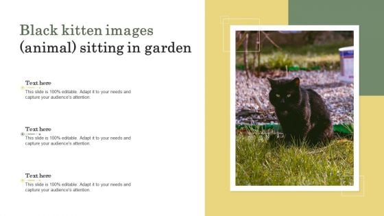 Black Kitten Images Animal Sitting In Garden Ppt PowerPoint Presentation Gallery Demonstration PDF