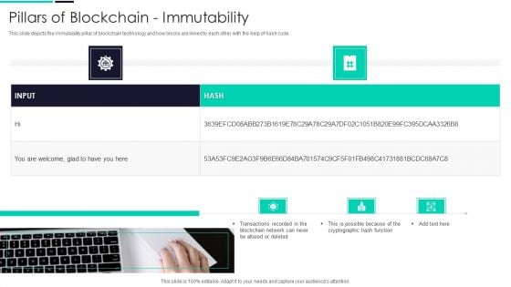 Blockchain And DLT Framework Pillars Of Blockchain Immutability Icons PDF