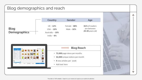 Blog Demographics And Reach Strategic Promotion Plan To Improve Product Brand Image Sample PDF