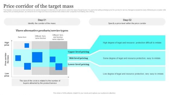 Blue Ocean Plan Of Tesla Price Corridor Of The Target Mass Ppt Infographics Example PDF