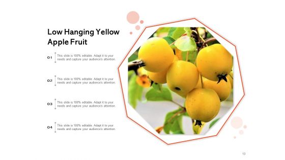Boundlessly Low Hanging Apple Fruit Ppt PowerPoint Presentation Complete Deck