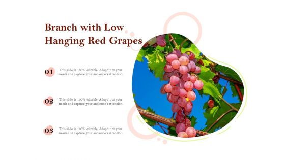 Branch With Low Hanging Red Grapes Ppt PowerPoint Presentation Gallery Smartart PDF