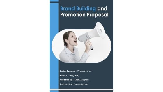 Brand Building And Promotion Proposal Example Document Report Doc Pdf Ppt