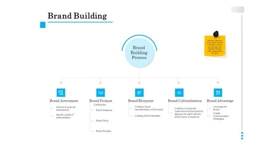 Brand Building Brand Building Process Ppt Outline Example PDF