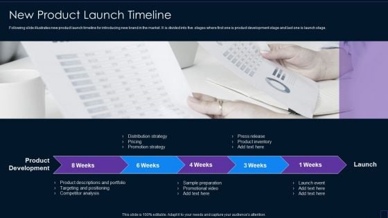 Brand Development Manual New Product Launch Timeline Summary PDF