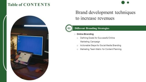 Brand Development Techniques To Increase Revenues Table Of Contents Demonstration PDF