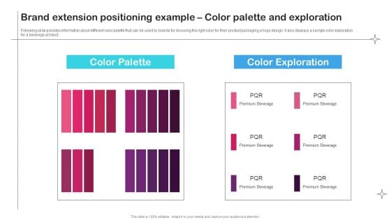 Brand Extension Positioning Example Color Palette And Exploration Information PDF