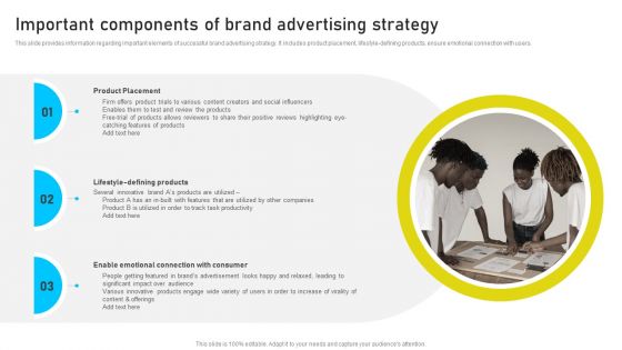 Brand Identity Management Toolkit Important Components Of Brand Advertising Strategy Microsoft PDF