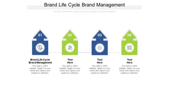Brand Life Cycle Brand Management Ppt PowerPoint Presentation Infographic Template Portrait Cpb