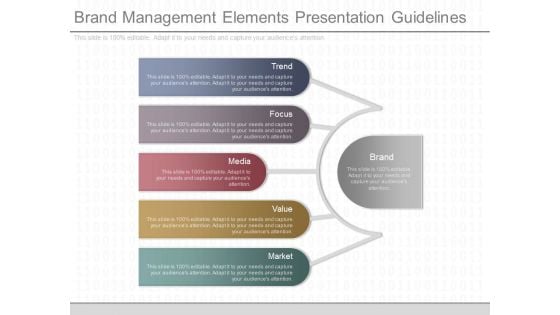 Brand Management Elements Presentation Guidelines