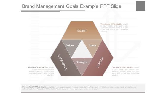 Brand Management Goals Example Ppt Slide