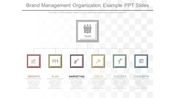 Brand Management Organization Example Ppt Slides