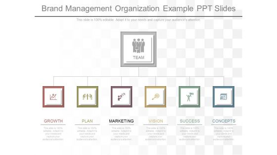 Brand Management Organization Example Ppt Slides