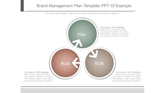 Brand Management Plan Template Ppt Of Example