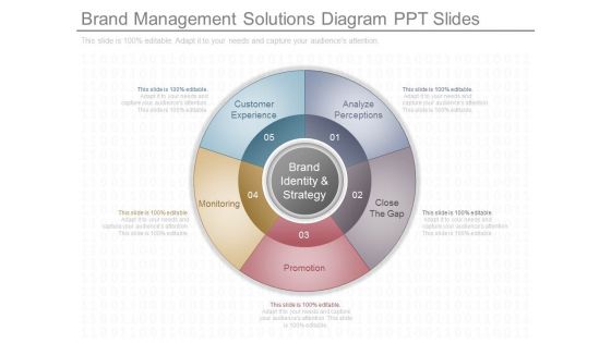 Brand Management Solutions Diagram Ppt Slides Brand Management Solutions Diagram Ppt Slides