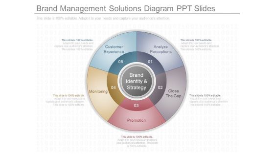 Brand Management Solutions Diagram Ppt Slides