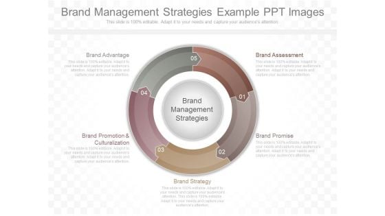 Brand Management Strategies Example Ppt Images