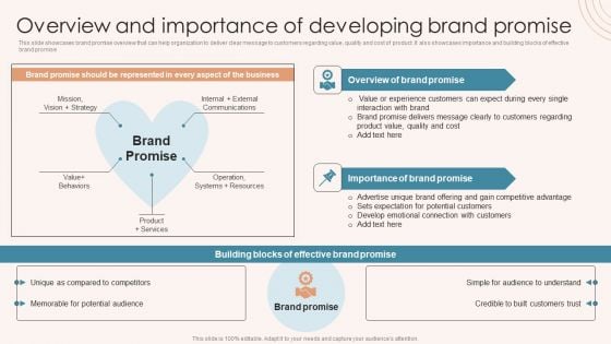 Brand Marketing Strategy Overview And Importance Of Developing Brand Promise Slides PDF