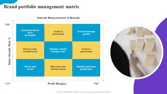 Brand Portfolio Management Matrix Brand Profile Strategy Guide To Expand Mockup PDF