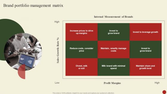 Brand Portfolio Management Matrix Ideas PDF