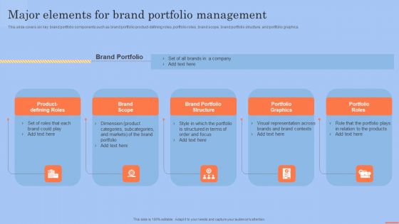 Brand Portfolio Technique And Model Major Elements For Brand Portfolio Management Information PDF