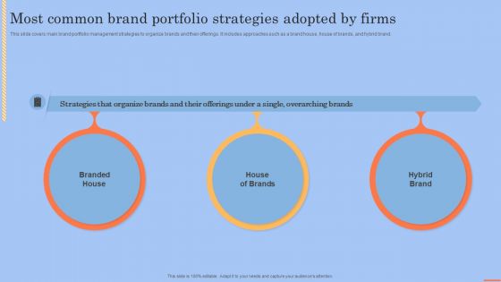 Brand Portfolio Technique And Model Most Common Brand Portfolio Strategies Clipart PDF