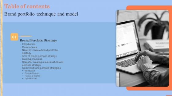 Brand Portfolio Technique And Model Table Of Contents Formats PDF